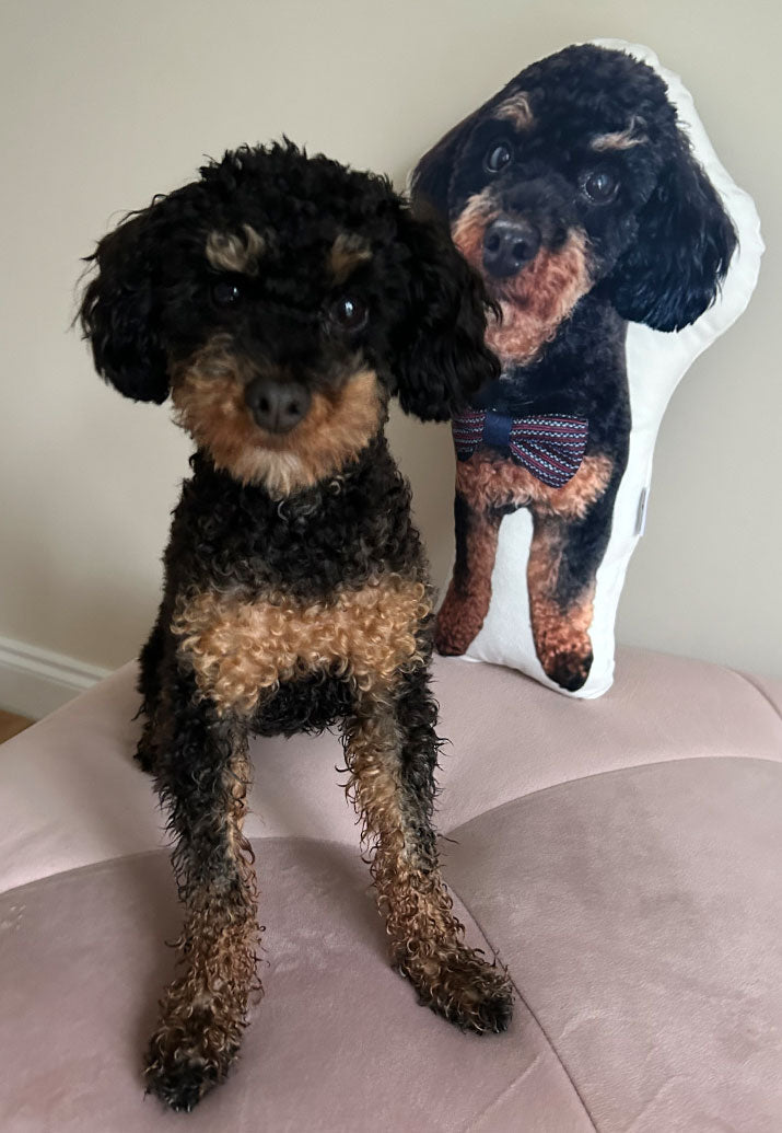 Dog Photo Pillow